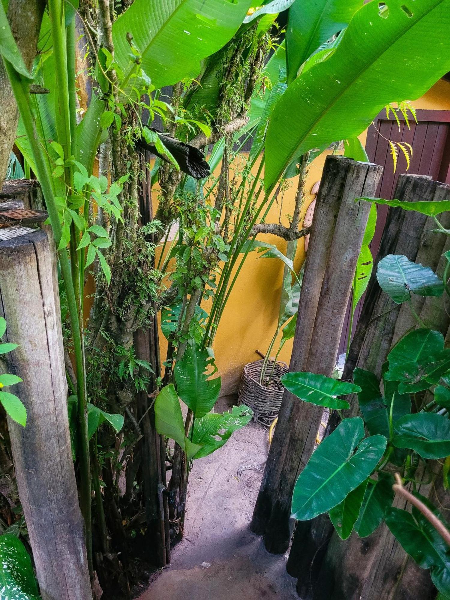 Pousada Raiz Forte Caraíva Extérieur photo